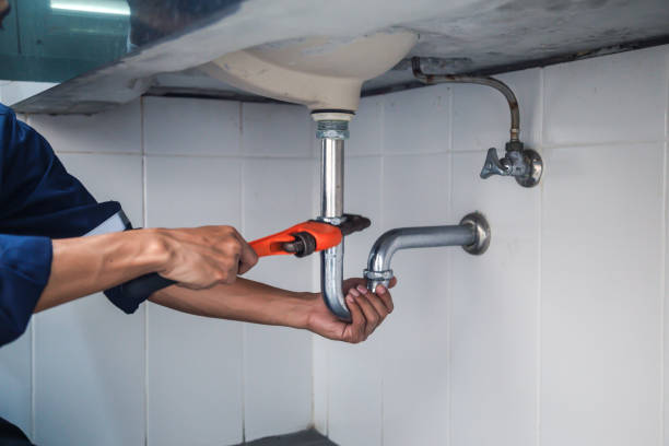 Best Leak Detection Services  in Decatur, MI